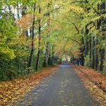 Balade à Maredsous - Maredret